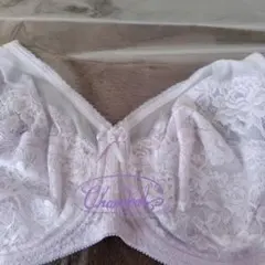 Item thumbnail for item 04c3e9ea-6839-41c4-97a6-a437c991245a