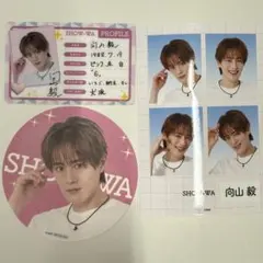 SHOW-WA 向山毅 3点セット