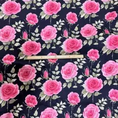 Item thumbnail for item 5715e9b6-c04b-432e-ae25-e9c7f38aee56