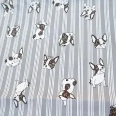 【はぎれ】綿100% 管理番号138