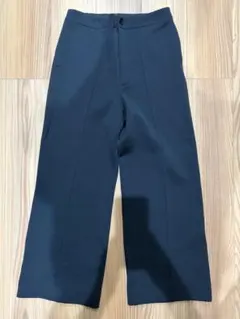 AURALEE Smooth Nylon Double Knit Pantsのサムネイル