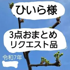 ひいら様 リクエスト 3点 まとめ商品