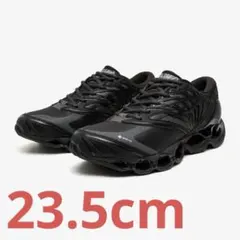 MIZUNO WAVE PROPHECY GORE-TEXのサムネイル