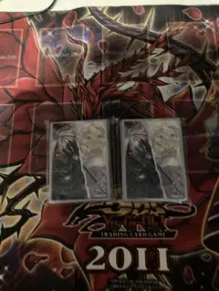 The Fallen & The Virtuous ヴァーチャススリーブ2セット The Fallen & The Virtuous ヴァーチャススリーブ2セット - メルカリ