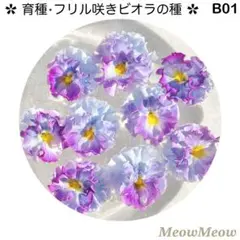 chiappucci様 リクエスト 3点 まとめ商品