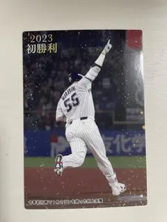 ヤクルトスワローズ　村上宗隆