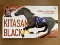Kサラブレッドコレクション　リアルフィギュア