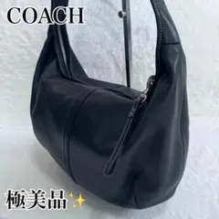 【極美品】コーチ アクセサリーポーチ ワンショルダー レザー ハーフムーン 黒