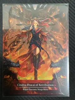 2026年最新】シンドラ fabの人気アイテム - メルカリ