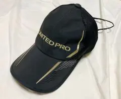 Item thumbnail for item 2e335e24-c001-4418-98e4-825deae5bc34