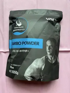 VALX（バルクス）のカーボパウダー（1050g）