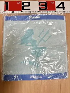 Item thumbnail for item 05651728-9f82-4844-b2a6-05d1311e5d96