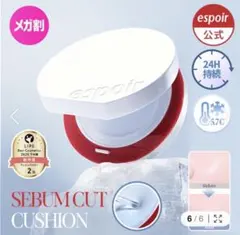 espoir ひんやり＆サラサラ セバムカットクッション15.8g
