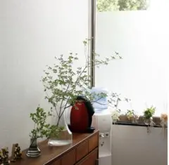 Item thumbnail for item ddafc81f-1f7d-48f8-9dba-9c08d41ad4fd