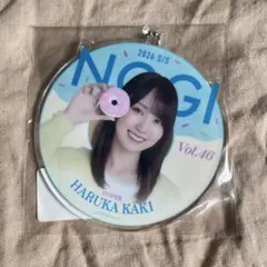 のぎbox A賞 賀喜遥香 コースターアクキー＆カード - メルカリ