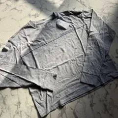 アメリカンイーグル ロンT シャツ