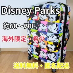 【希少・海外限定】Disney Parks ミッキー スーツケースのサムネイル