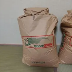 長期保存可能 真空パック 米とぎ不用な無洗米・令和7年産 新潟新之助 5