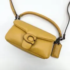 Coach C3880 Shoulder bag Pillow Tabby