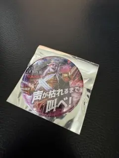 USJ オールナイト 缶バッジ DJX