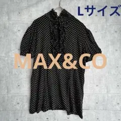 〔カットソー〕 MAX&Co 半袖 L シルク ネイビー ベージュ ドットのサムネイル