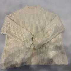 earth クロップド　ニット　Mサイズ