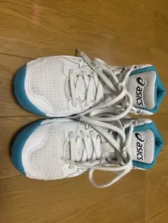 Item thumbnail for item 6fa85afb-ab27-4254-8618-956bb893d14b