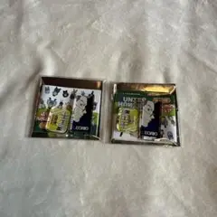 HUNTER×HUNTER アクリルminiフィギュア レオリオ・パラディナイト