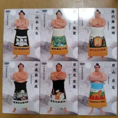 Item thumbnail for item cc718985-6446-483a-8b11-7e041e043dc6