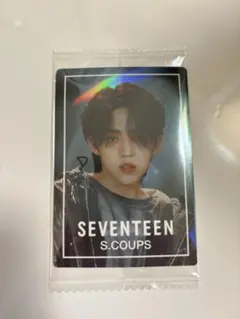 seventeen ウエハース　シール　エスクプス