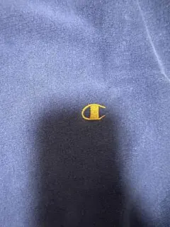 【珍ピオン】90's Champion reverse weave 金目パープル