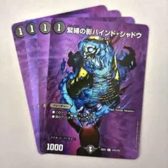 緊縛の影バインド・シャドウ　4枚