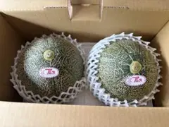 6箱限定！送料込み！千葉県産　アムスメロン　大玉2玉　贈答用のサムネイル