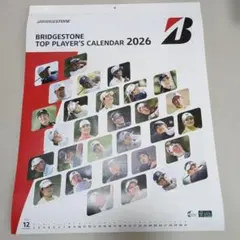 Item thumbnail for item 5ab3e935-8f0d-470d-ad4b-ff1d9945e017