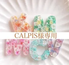 CALPIS様専用