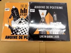 ANGINE DE POITRINE LIVE盤 レコード