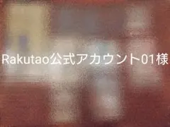 Rakutao公式アカウント01様専用　RT- 95523