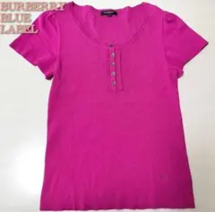 値下げ美品★バーバリーロンドン バーバリー トップス プリーツ　ホース 刺繍