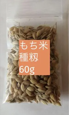 大和当帰の種⭐農薬不使用⭐漢方 大和当帰の種⭐農薬不使用⭐漢方 - メルカリ