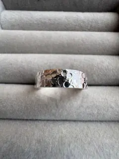 Item thumbnail for item 57999344-00c2-4963-9342-b2921b6dea11