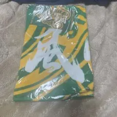 湘南乃風 地域限定タオル ステッカー付き