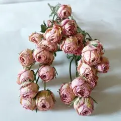 すずな様 リクエスト 2点 まとめ商品