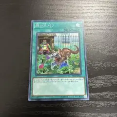 遊戯王　隣の芝刈り　シークレットレア1枚【日版】