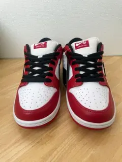 【新品】Nike SB Dunk Low Pro J-Pack Chicago