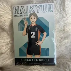 ハイキュー!! ポストカード 特典 菅原孝支