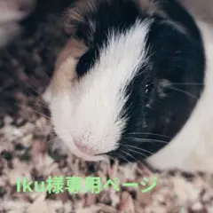Iku様専用ページ