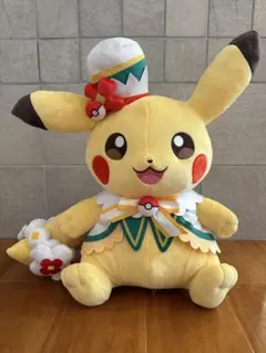 ポケモン ぬいぐるみ ヒトカゲ ポケパークカントー 202607101925