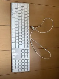 Apple Keyboard テンキー付 有線 JIS配列 A1243 ジャンク