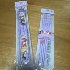 ディズニープリンセス 子ども用箸 5本セット
