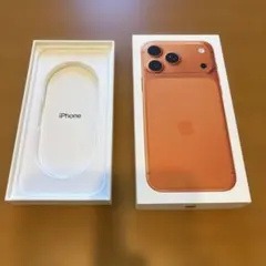 【箱のみ】iPhone 17 Pro Max 1TB 純正パッケージ